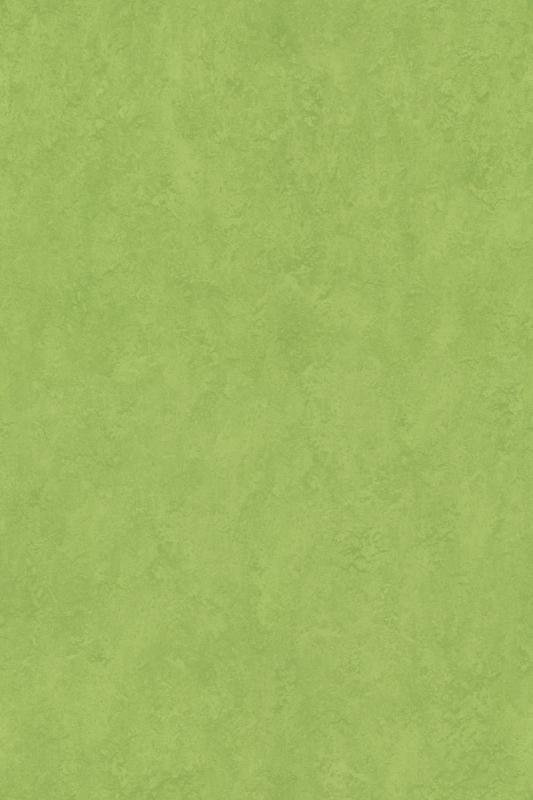 Forbo Marmoleum Sport - 83285 green Linoleum Bahnenware