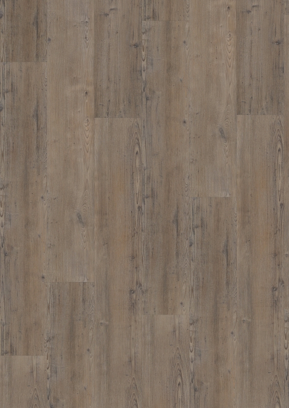 vivafloors Designbelag - Serie 4200 - Nadelholz 4205 - Klickvariante