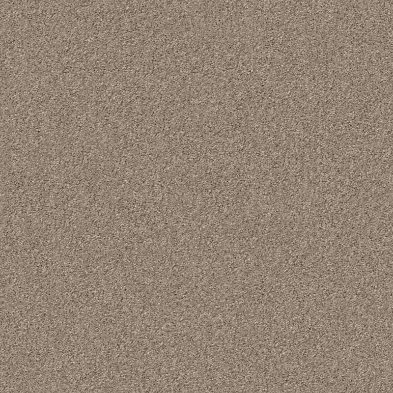 Object Carpet Silky Seal 1200 | Dust 1229 Bahnenware