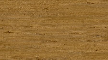 Objectflor - Expona Living Clic - Park Oak - 8135