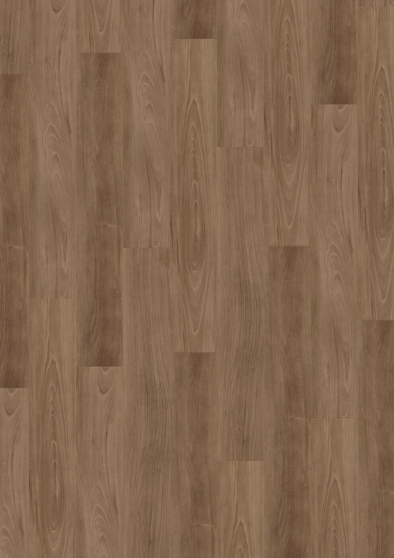 Expona Commercial - Farbe 4212 Country Ash