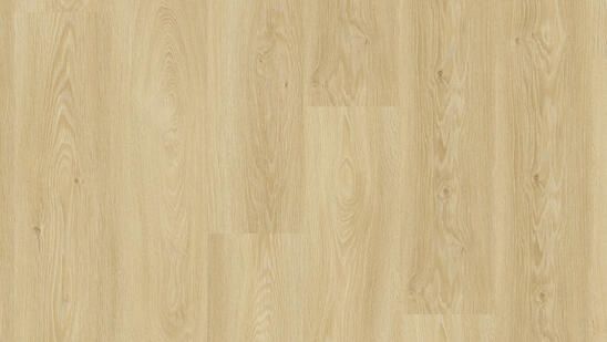 Tarkett | Essence 30 | Cool Oak Classical | 260055001