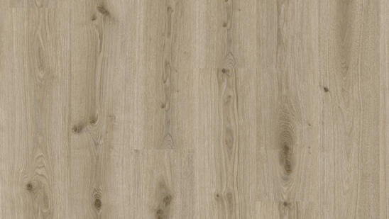 Tarkett | Essence 30 | Primary Oak Light Grey | 260055006