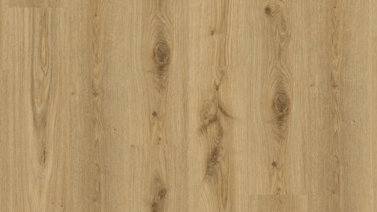 Tarkett | Essence 30 | Primary Oak Natural | 260055004