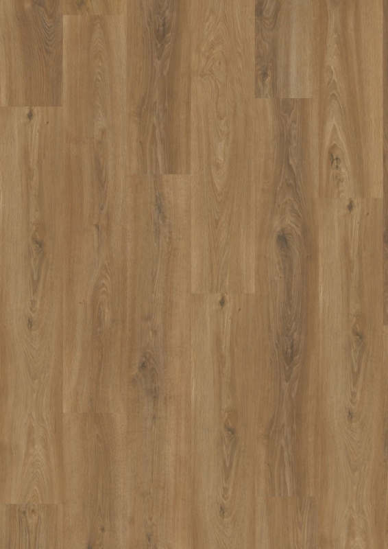 vivafloors Designbelag - Serie 3500 - Eiche 3540 - Klickvariante