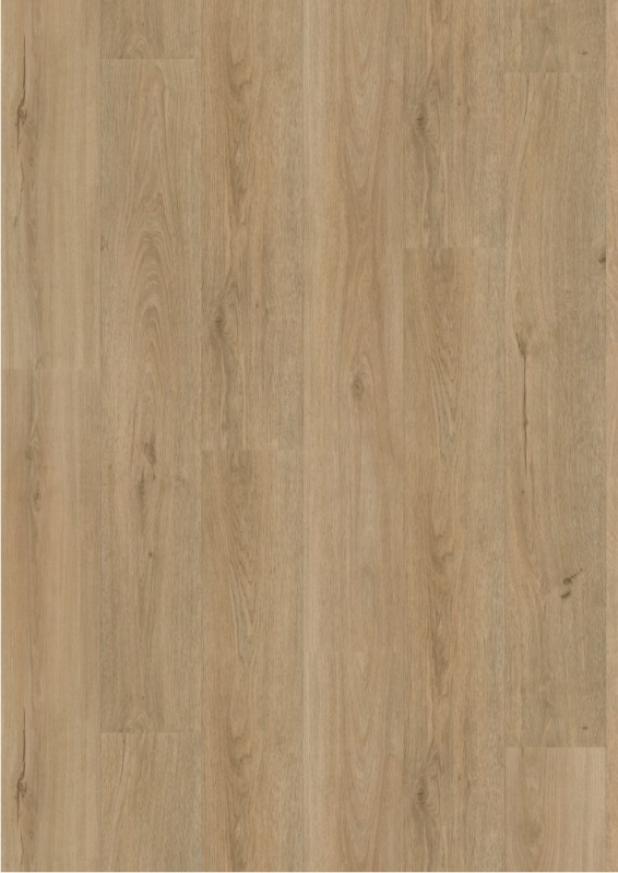 vivafloors Designbelag - Serie 7200 - Eiche 7240 - Klickvariante