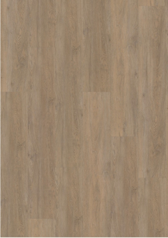 vivafloors Designbelag - Serie 8300 - Eiche 8300 - Klickvariante