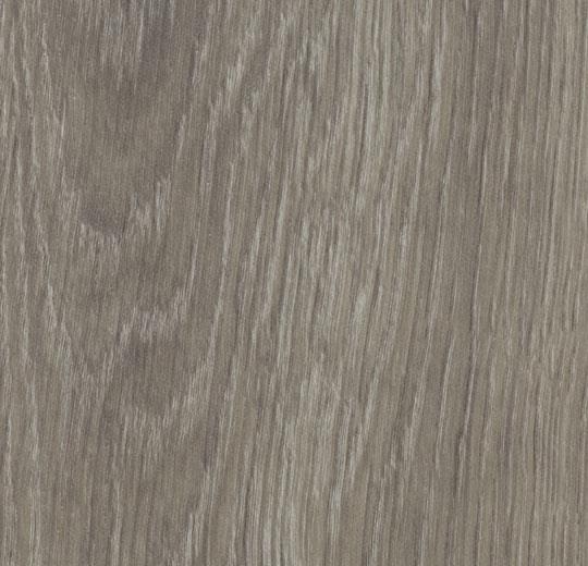 Forbo Allura Dryback Wood 0,40 - 60280 grey giant oak