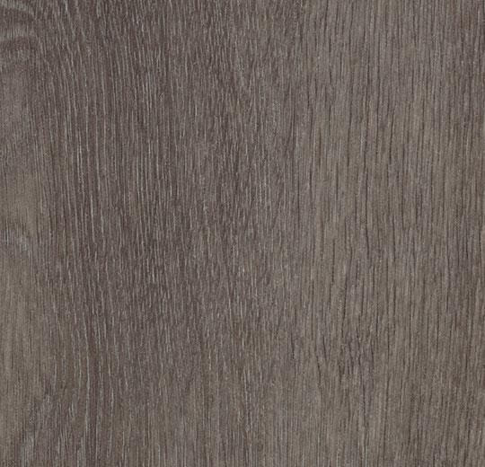 Forbo Allura Dryback | Wood 0,40 | 60375DR4 grey collage oak | 120 x 20 cm