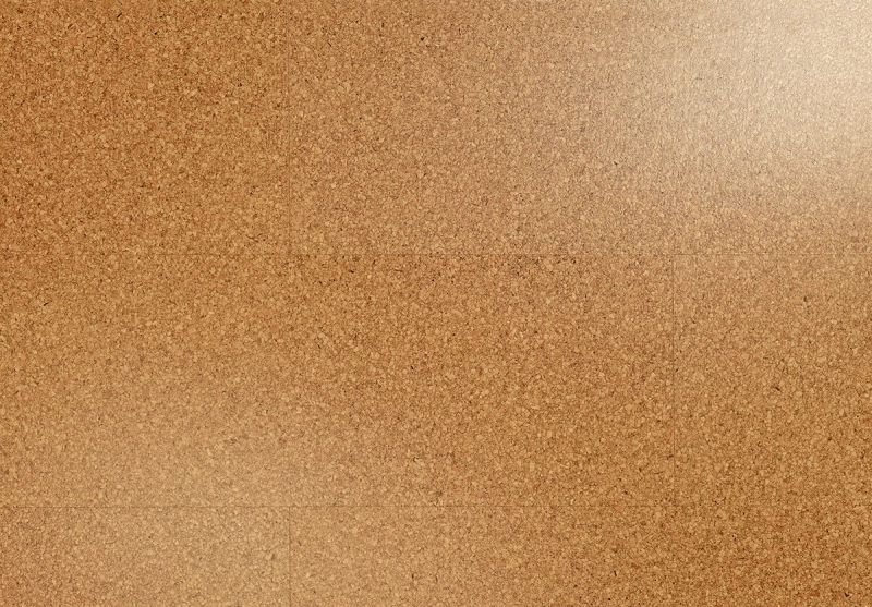 Wicanders | cork Go | Moment | 80001631