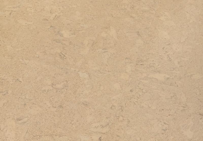 Wicanders | cork inspire + | Shell Marfim | 80003484