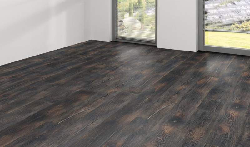 Wicanders | Kentucky | Grand Canyon | 82000163