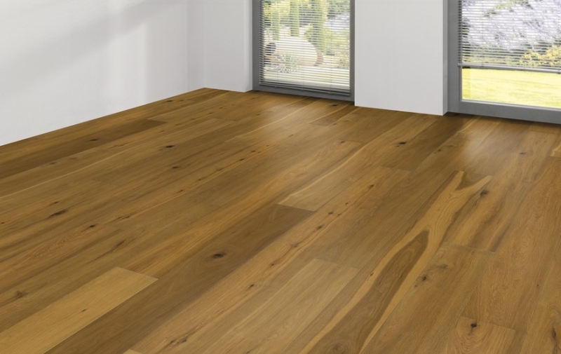 Wicanders | Kentucky | Oklahoma | 82000118