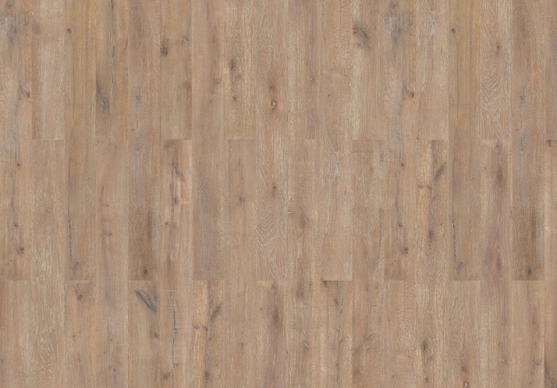 Wicanders | wood Inspire + | Farnia Oak Savannah | 80004851