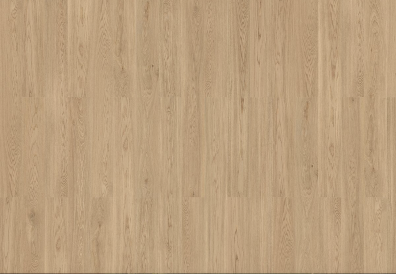 Wicanders | wood natural | Pure Oak | 80003571