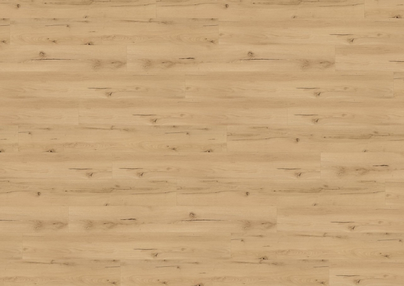 Wineo - 1200 - wood XXL - Announcing Fritz - Multi-Layer