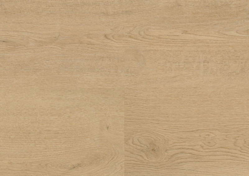 wineo 400 wood L - DB281WL Plain Oak Beige