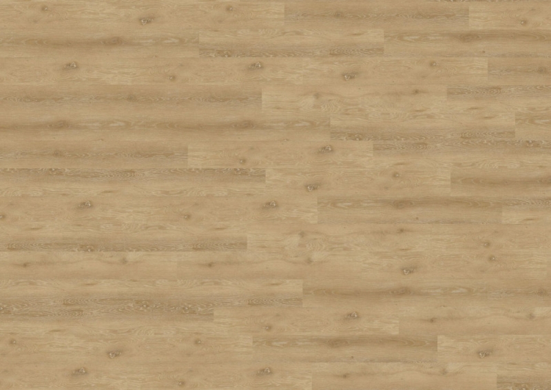 wineo 800 wood L - DB817WL Trondheim Oak Brown