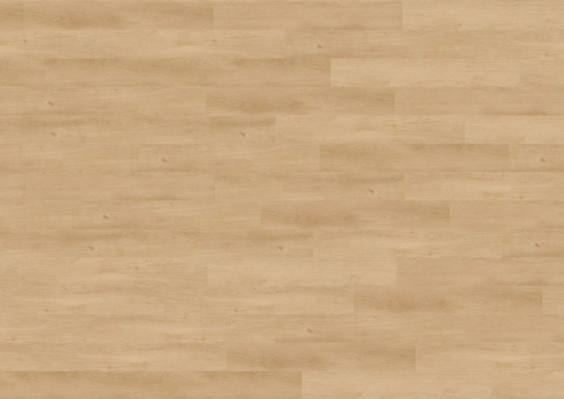 wineo 800 wood L - DB818WL Merano Oak Nature