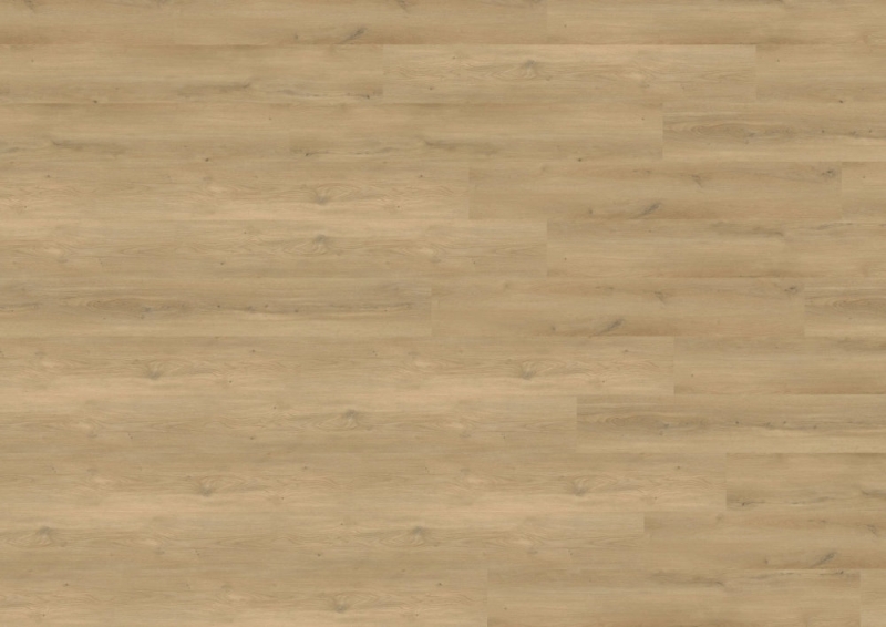 wineo 800 wood XL - DB833WXL Stavanger Oak Nature