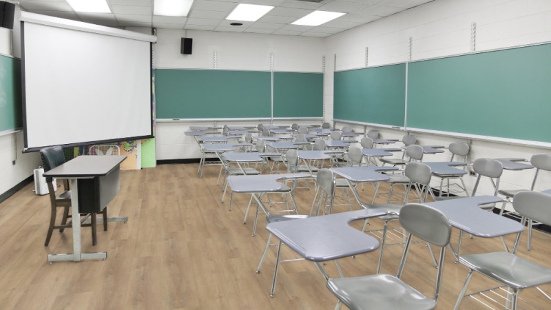 wineo 800 wood XL - DB834WXL Dalen Oak Nature