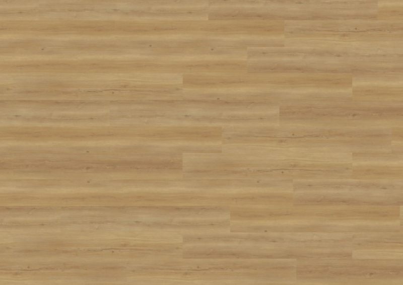 wineo 800 wood XL - MLD835WXL Bradford Oak Honey