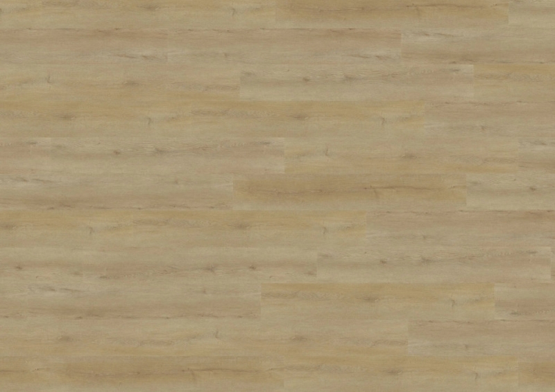 wineo 800 wood XL - DB836WXL Narvik Oak Nature