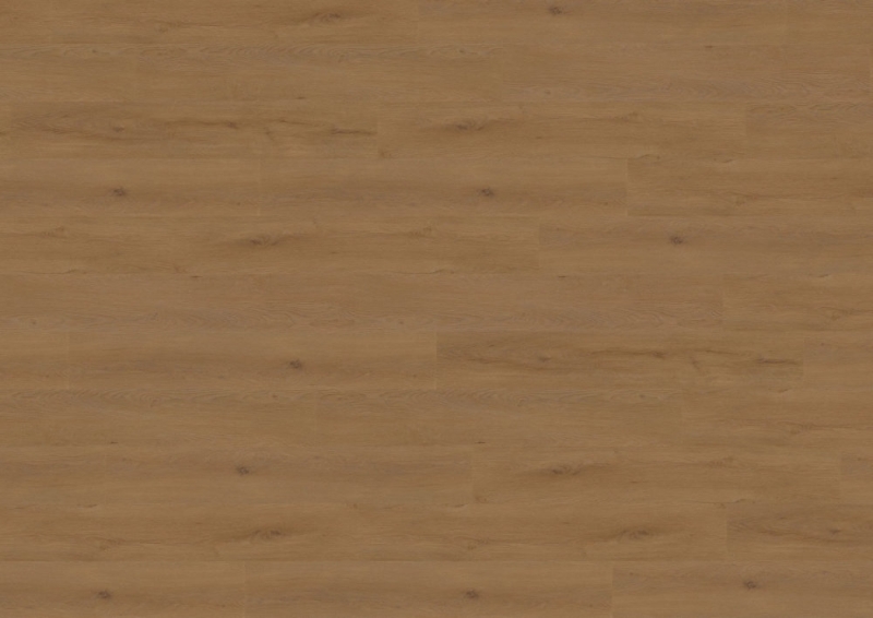 wineo 800 wood XL - DB838WXL Dublin Oak Brown