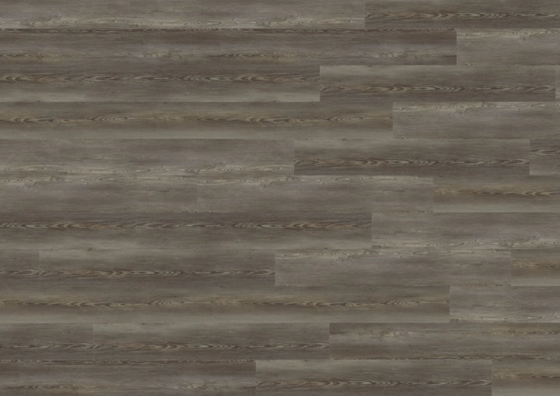 wineo 800 wood XL - DB841WXL Catania Pine Grey