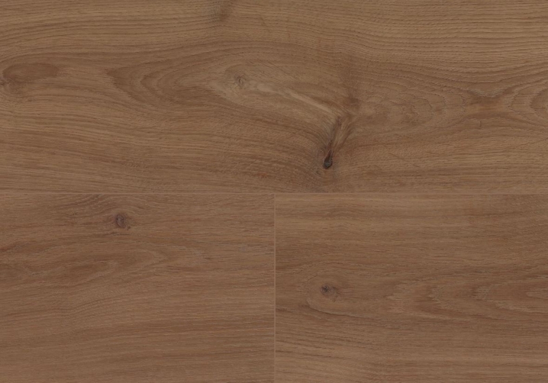 Wineo | 1000 Wood XL Multi-Layer | Noble Oak Chocolate | MLP312R