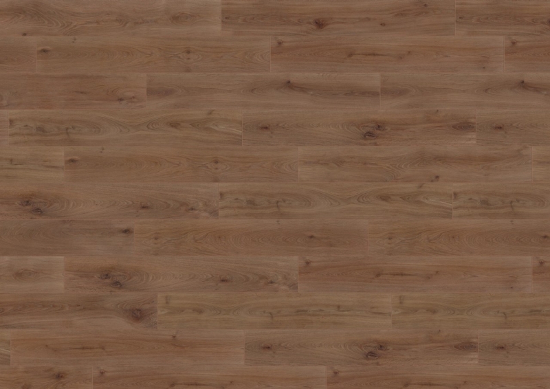 Purline Bioboden wineo 1000 wood XL Noble Oak Powder Chocolate